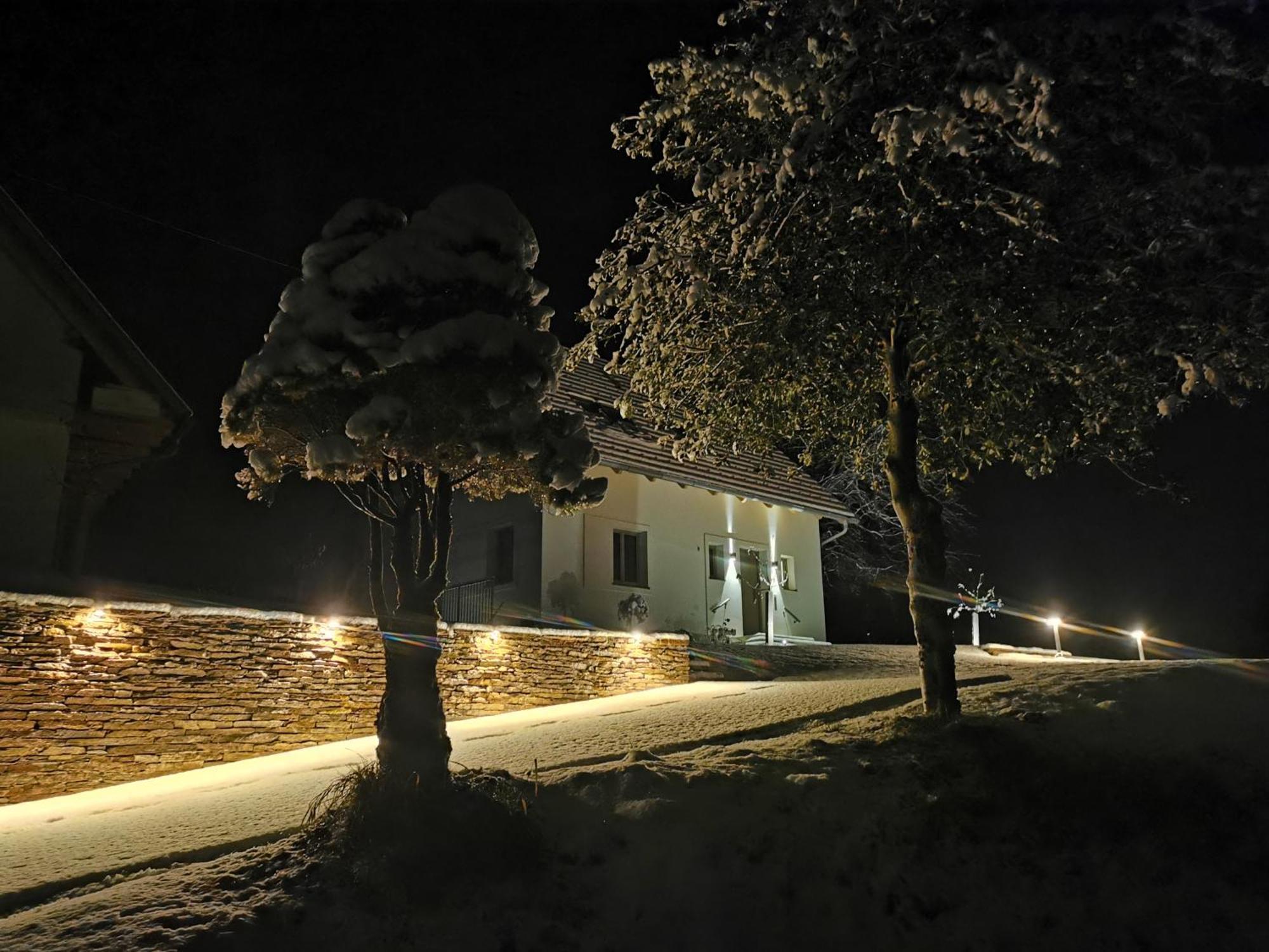 Traumhaftes Ferienhaus am Lateinberg - 8455 Eibiswald Südsteiermark Villa Exterior photo